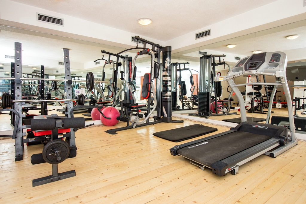 Gym in the villa Olka
